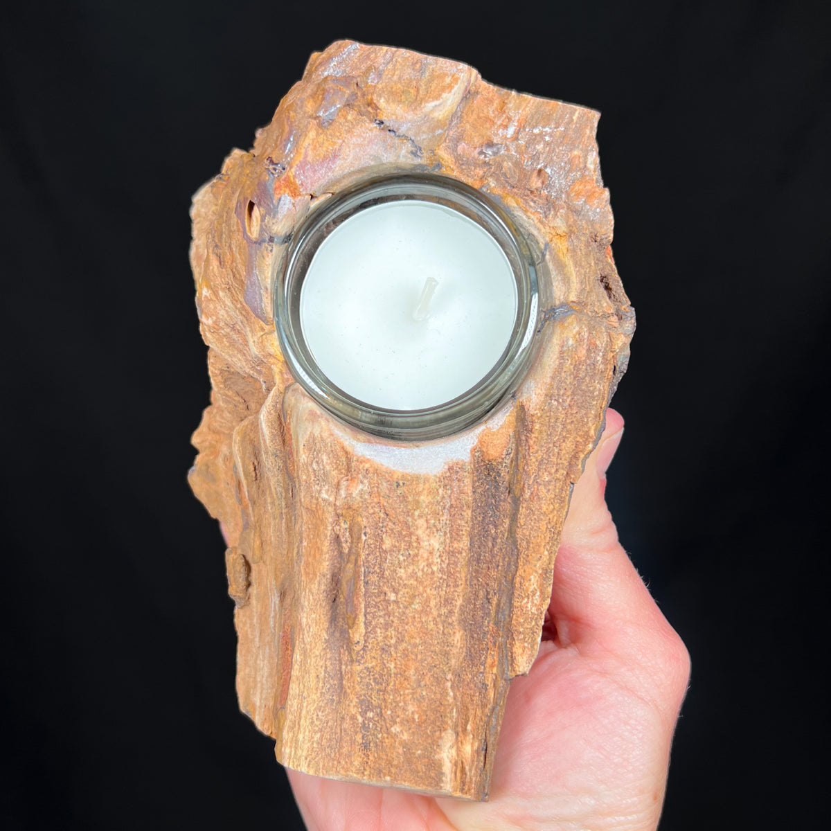 Top view petrified wood candle holder