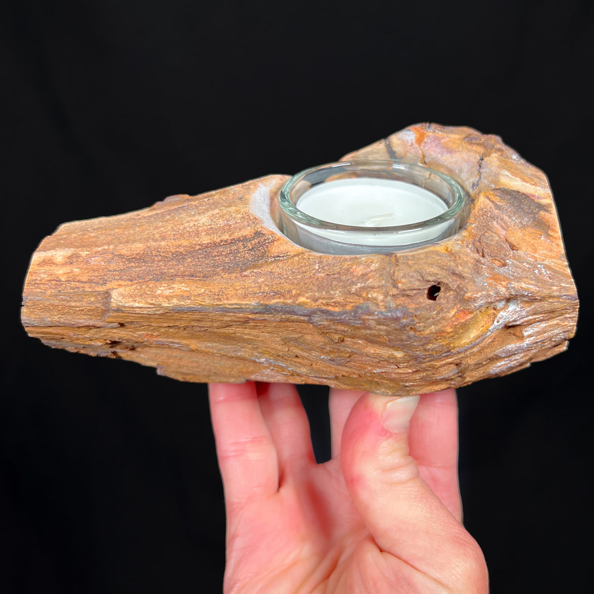 Side view Petrified Wood Candle Holder