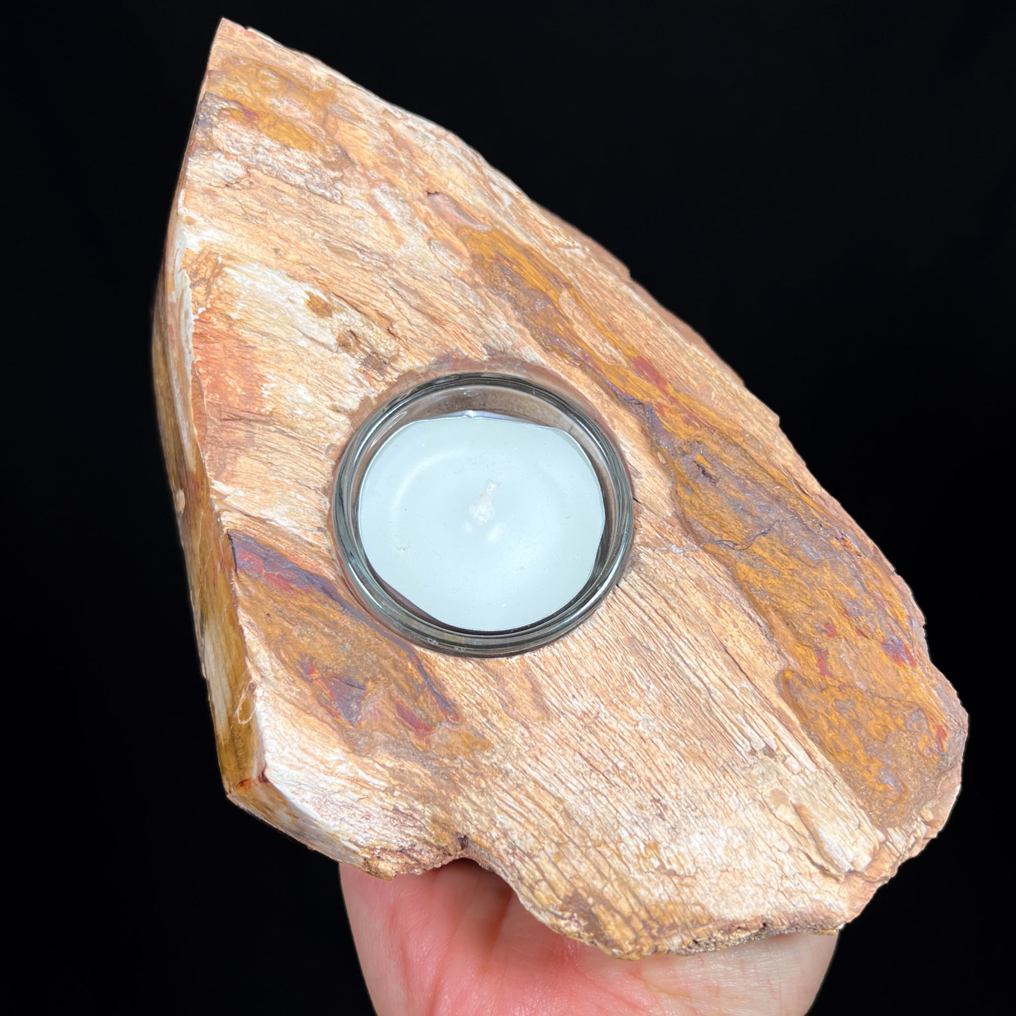 Petrified Wood Tea light candle holder