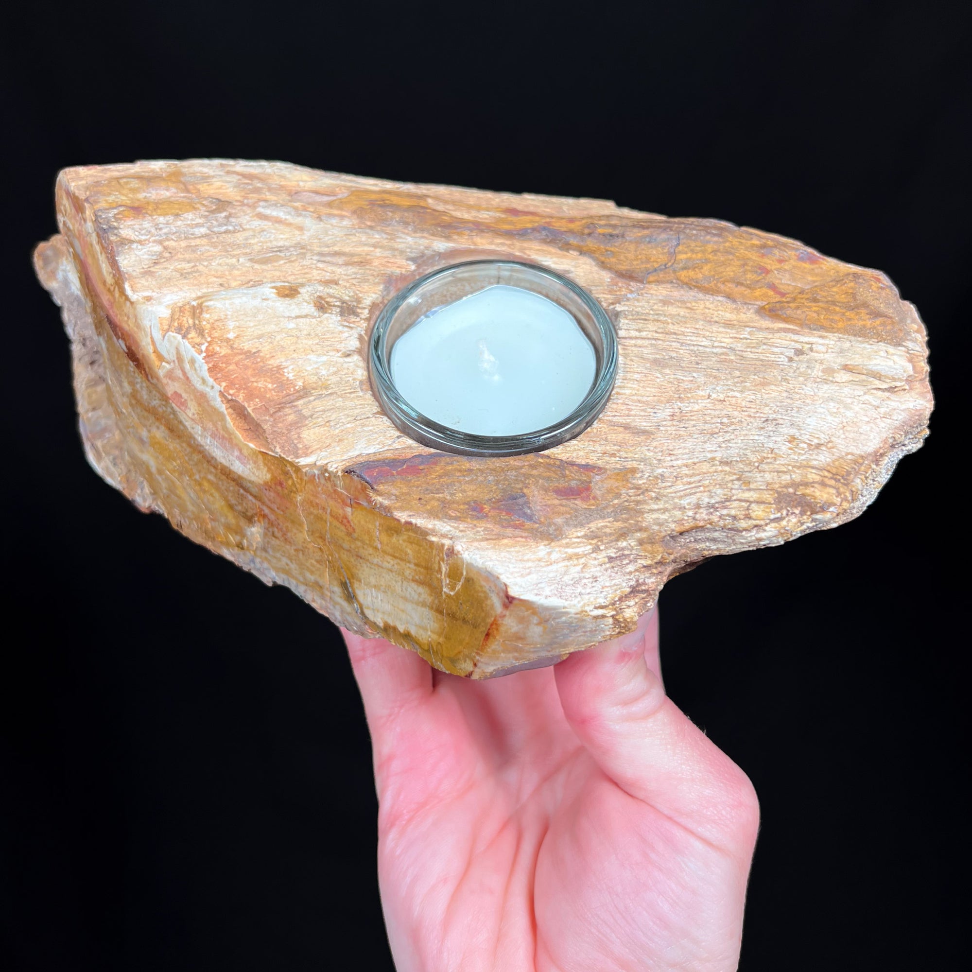 Petrified Wood Tea light candle holder