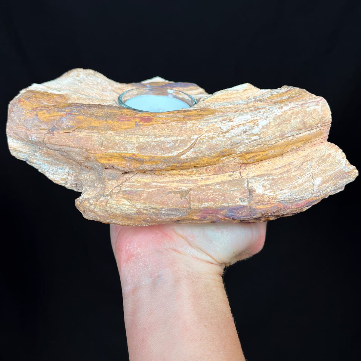 Side View Petrified Wood Candle Holder