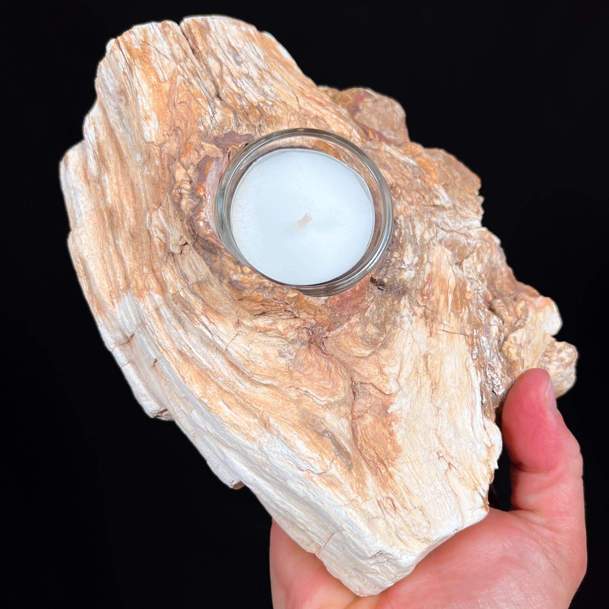 Petrified wood Candle Holder from Madagascar