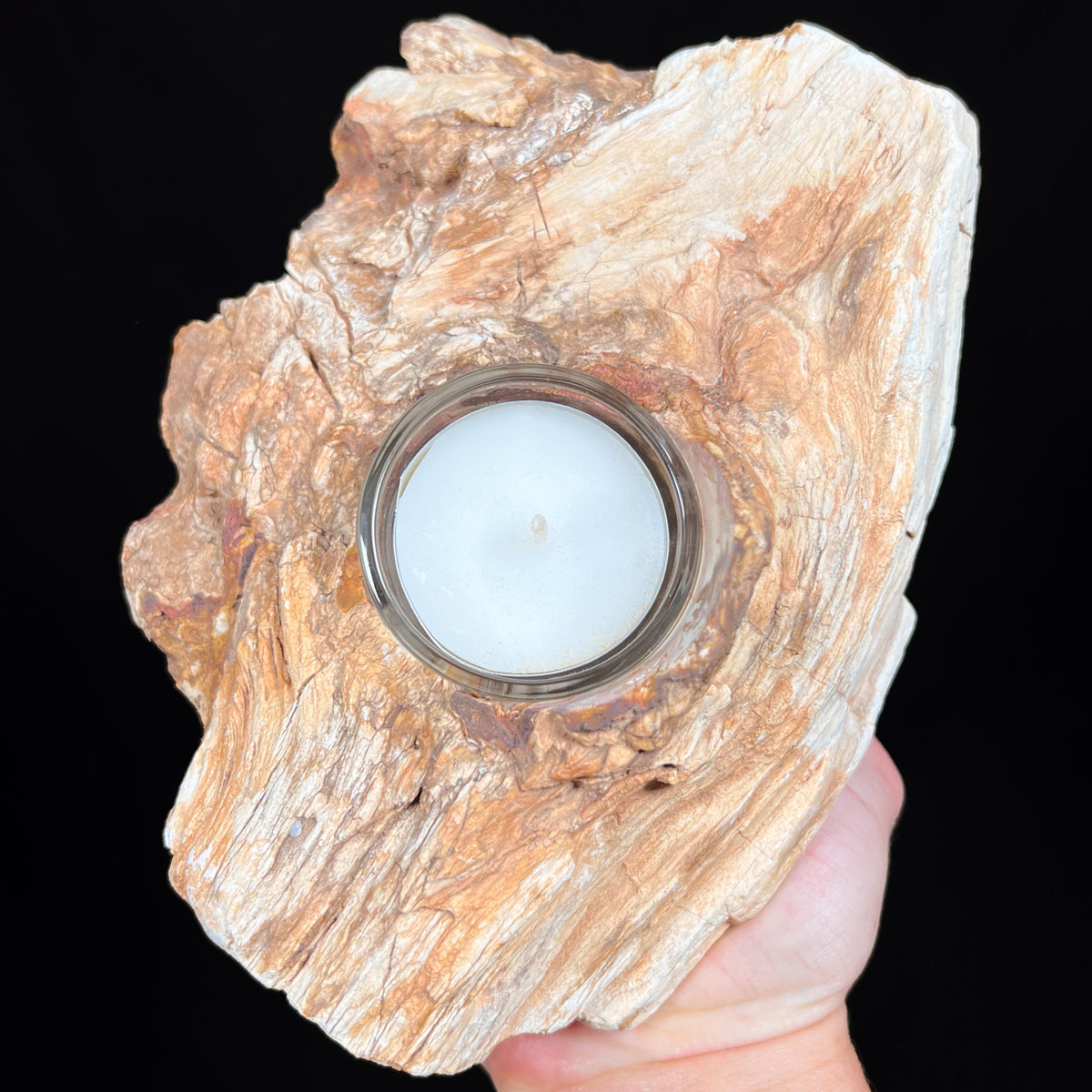 Raw Petrified Wood Candle Holder
