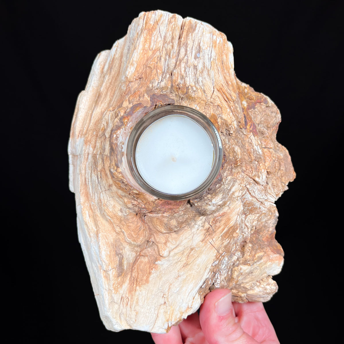 Natural Petrified Wood Candle holder