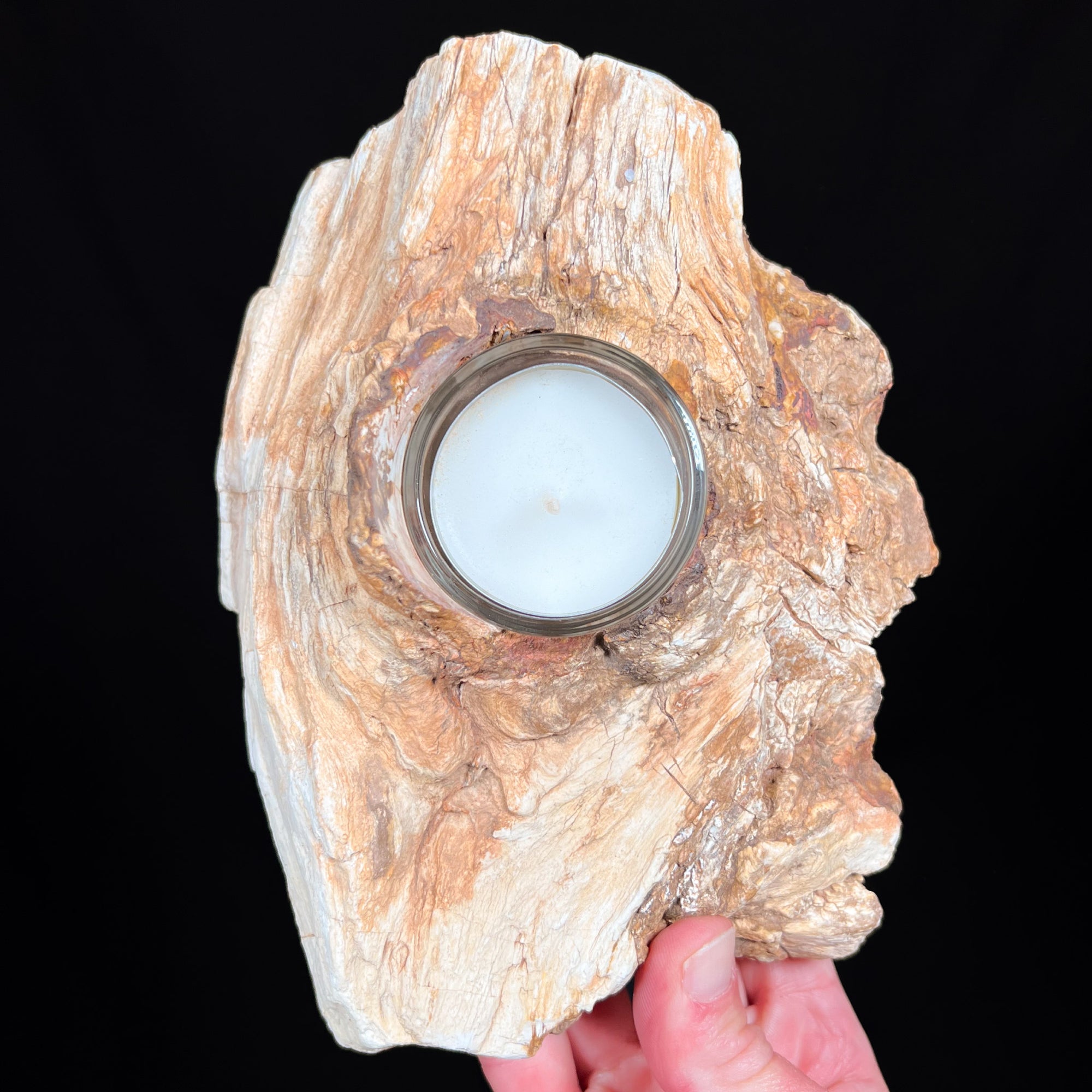 Petrified wood Candle Holder from Madagascar