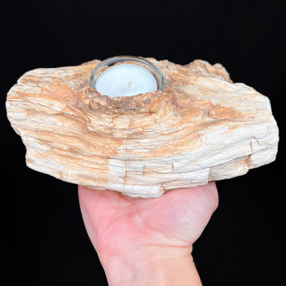 Petrified Wood Home Decor Candle Holder