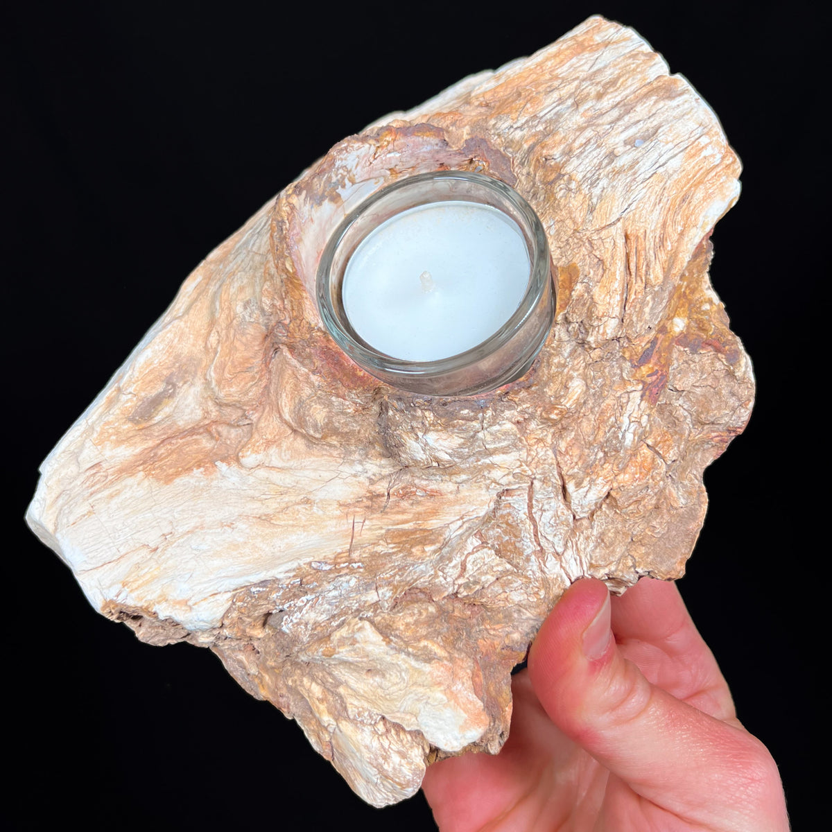 Petrified wood tea light candle holder