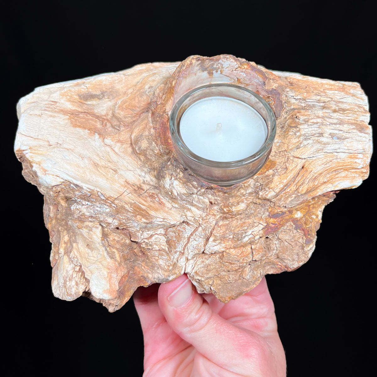 Petrified Wood Tea light Candle Holder from Madagascar