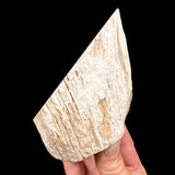 Side View of Exterior Deschutes, Oregon