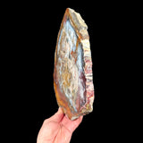 Side View of Petrified Wood Slice from Hubbard Basin, NV