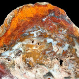 Close up of the red, orange, and blue colors in Hubbard Basin, Nevada Petrified Wood Specimen