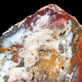 Close up of the red, orange, blues and purples in Hubbard Basin, Nevada Petrified Wood Specimen