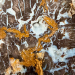 Close up of drusy Quartz crystals in Parker Colorado Petrified Wood