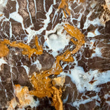 Close up of drusy Quartz crystals in Parker Colorado Petrified Wood