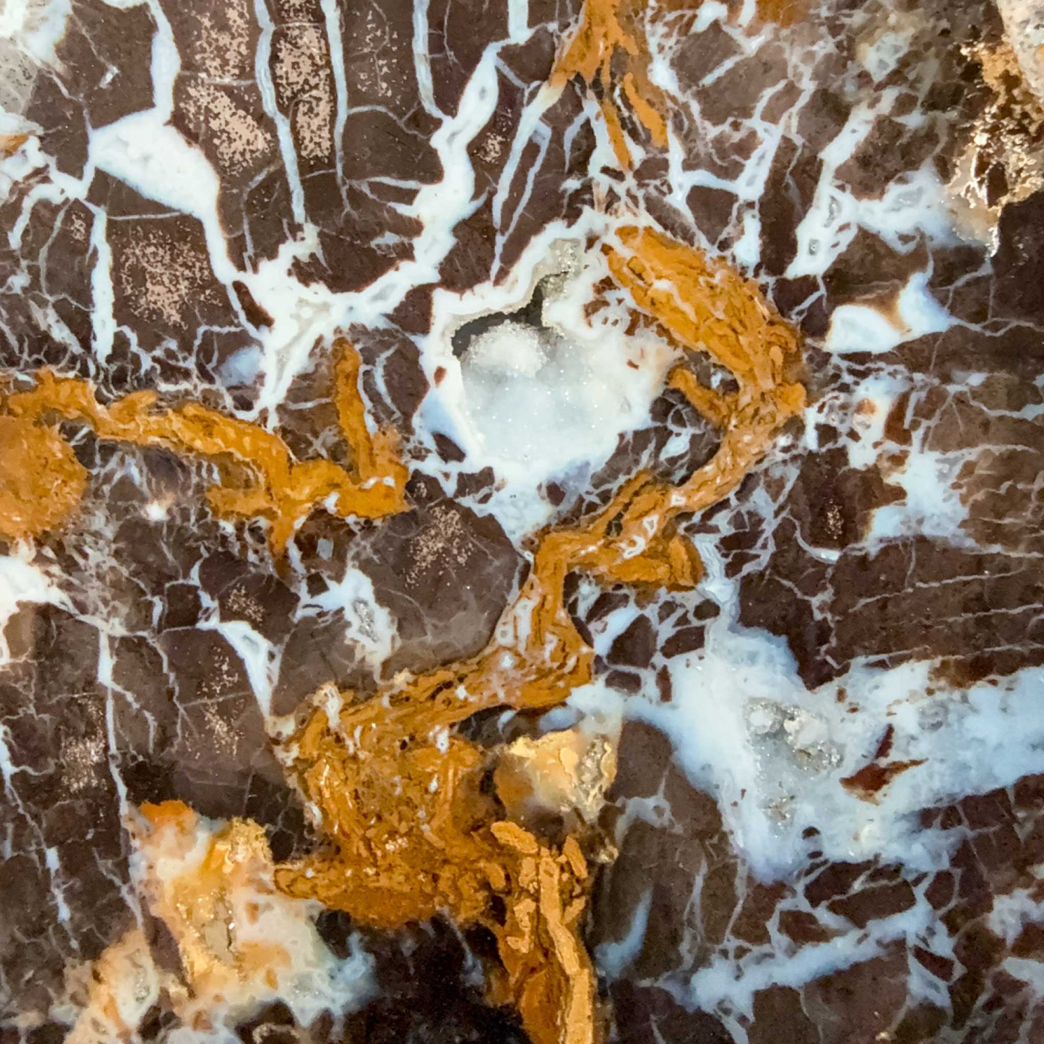 Close up of drusy Quartz crystals in Parker Colorado Petrified Wood