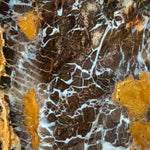 Close up of Petrified Shrink Wood from Parker, CO