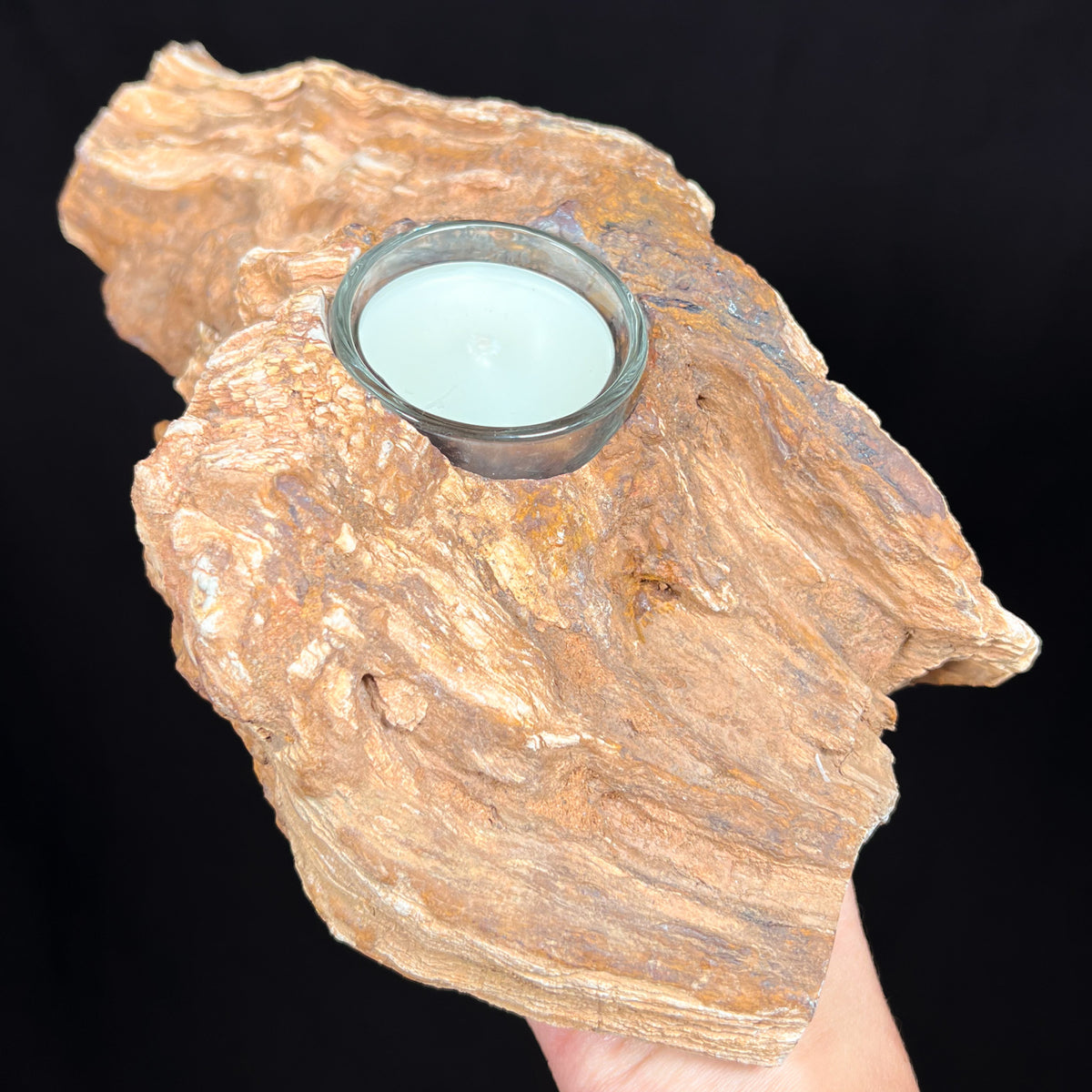 Petrified Wood With Tea light Candle Holder