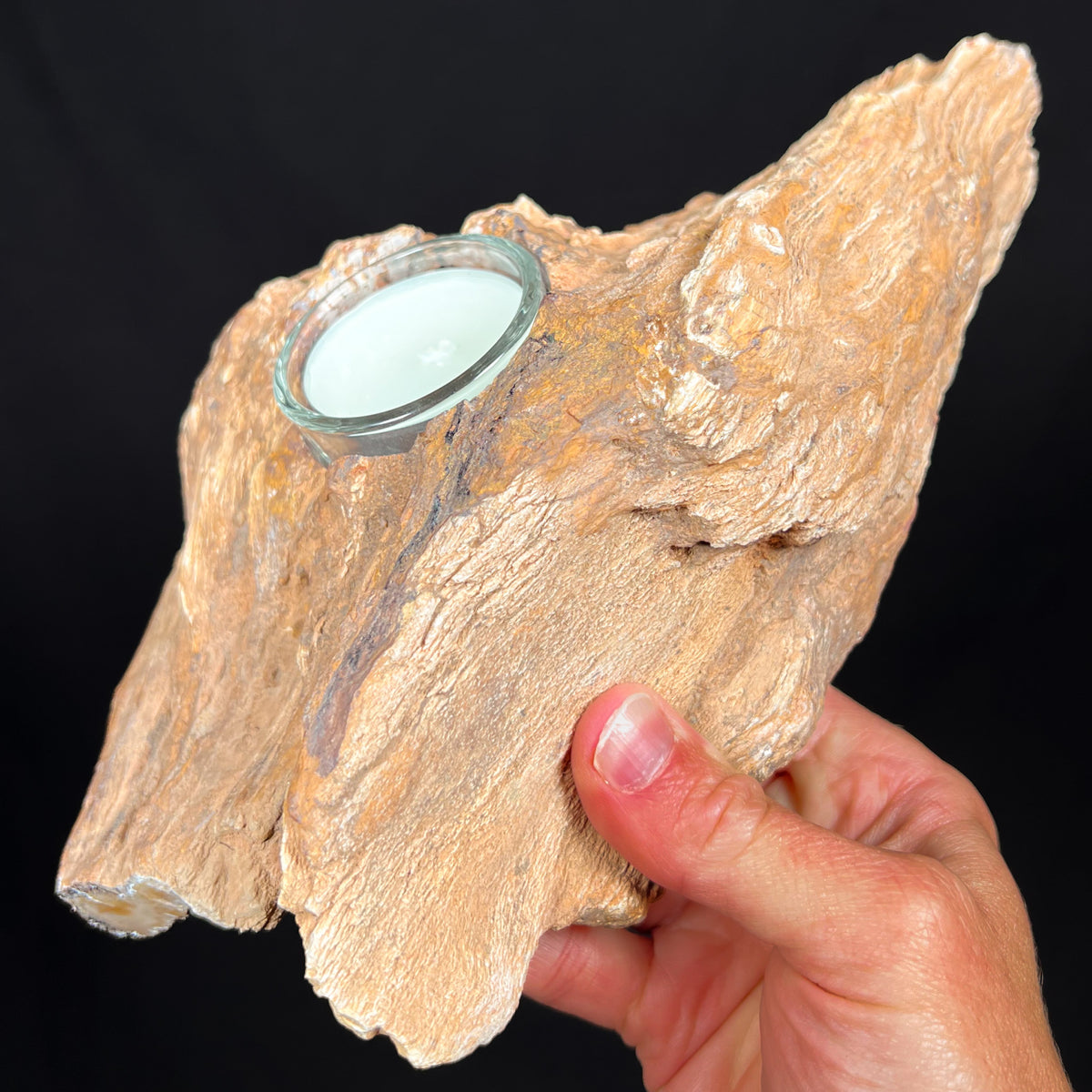 Petrified Wood Tea light Holder