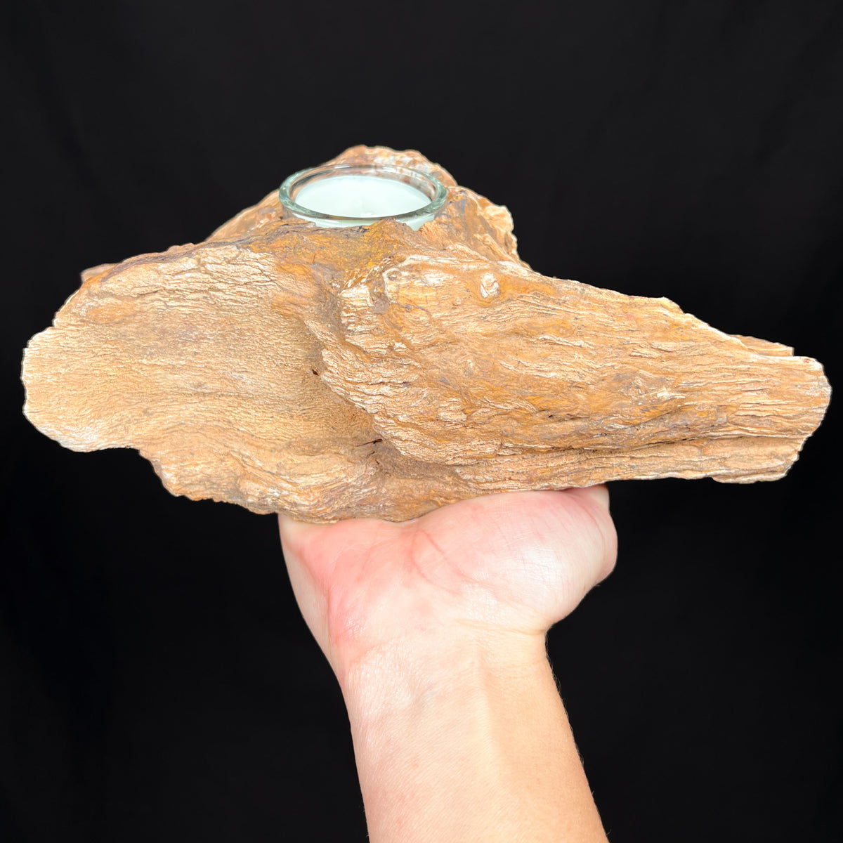 Petrified Wood with Candle Holder