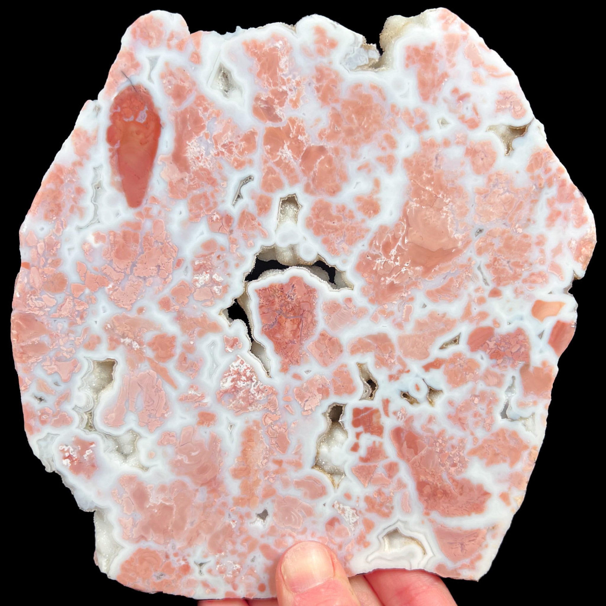 Pink Cotton Candy Agate Stone Slice from Chihuahua, Mexico