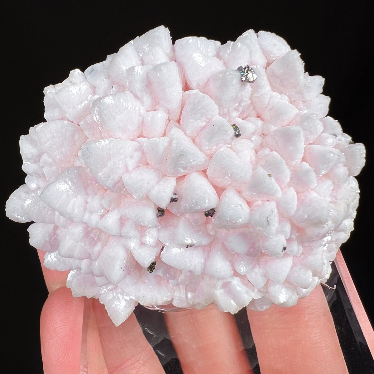 Pink Calcite Dogtooth Crystals with Pyrite from Bulgaria