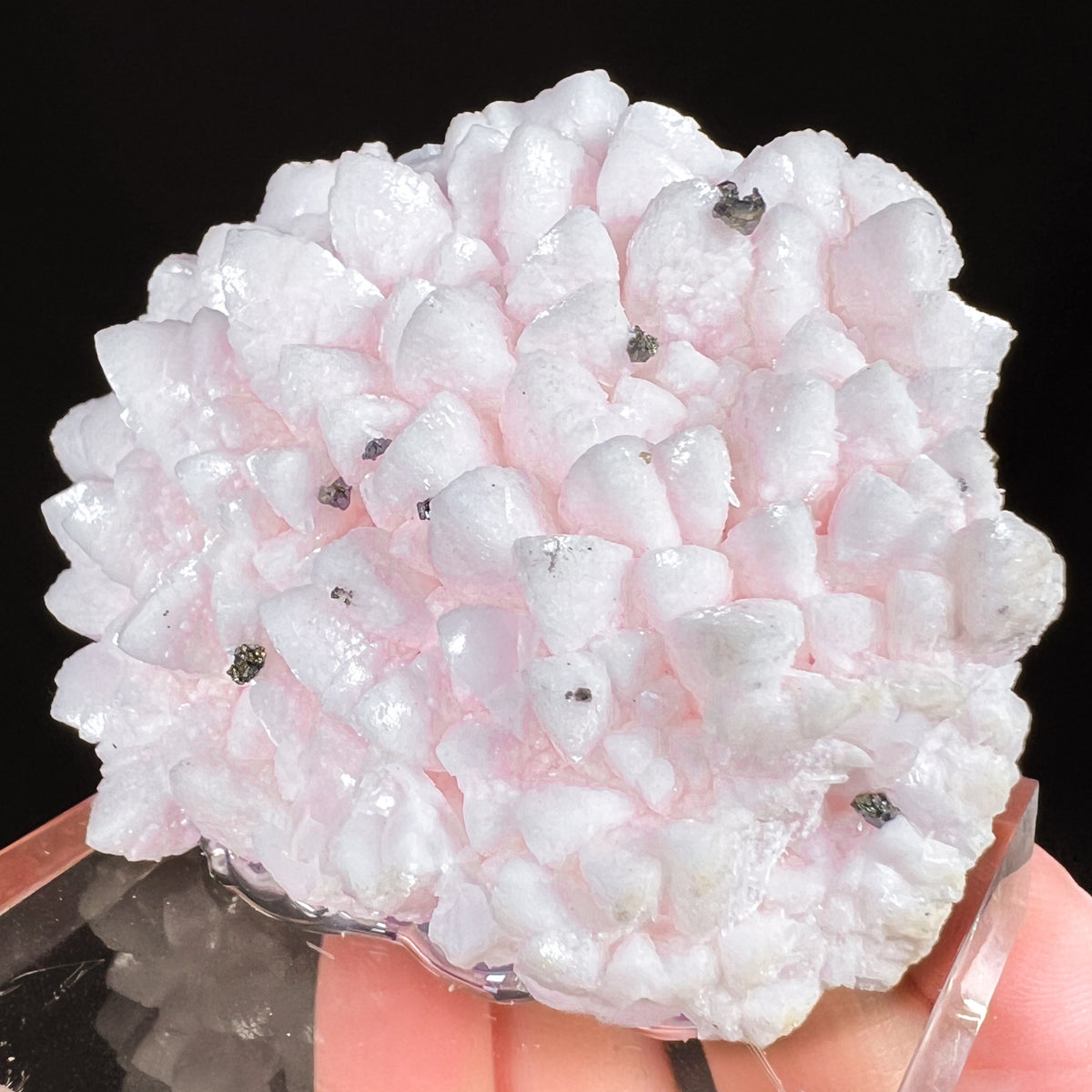 Pyrite with Pink Manganese bearing Calcite Crystals
