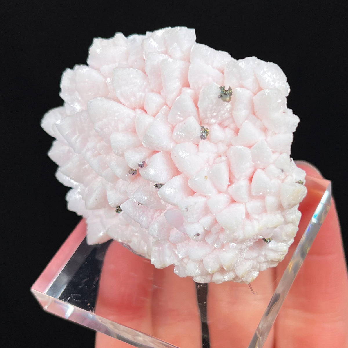 Pink Dogtooth Calcite Crystals from Bulgaria