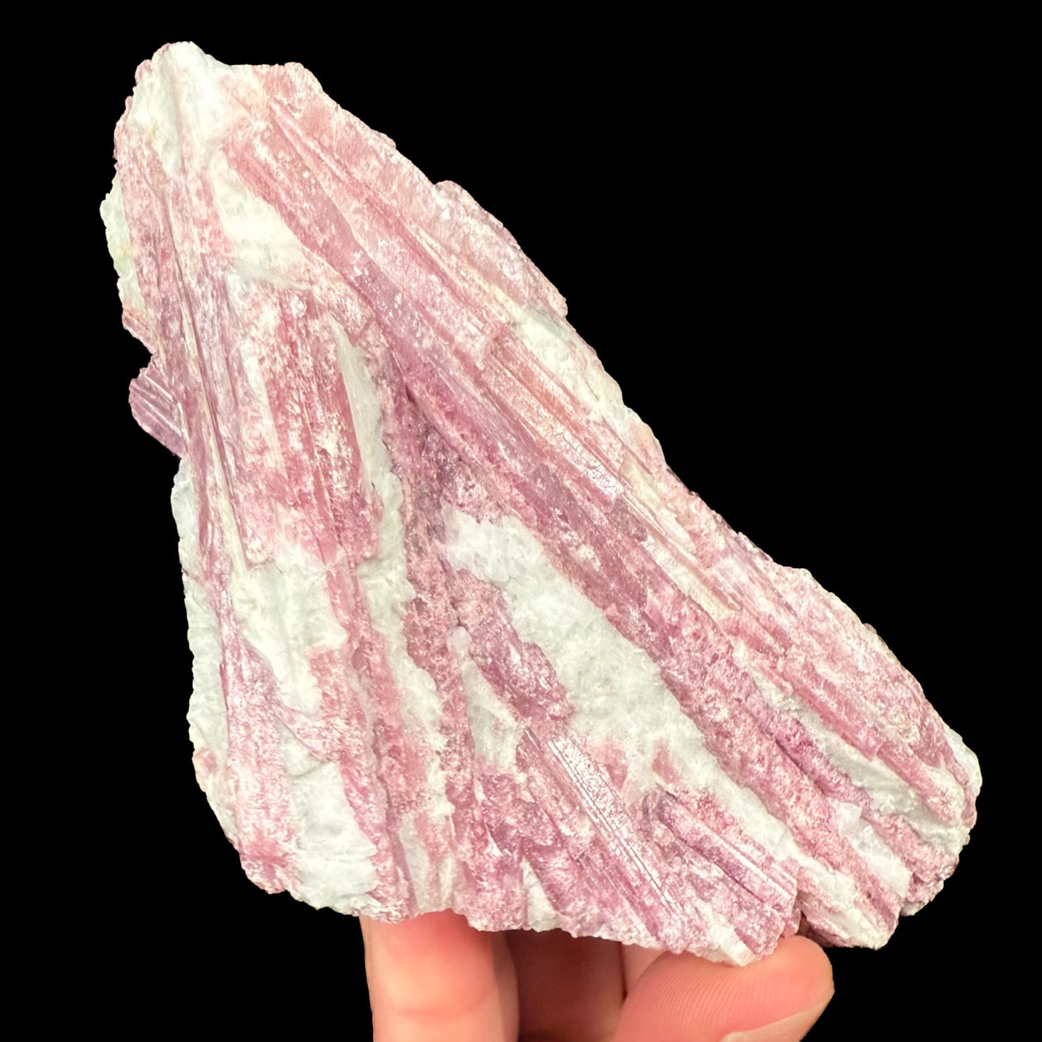 Pink Tourmaline in Albite