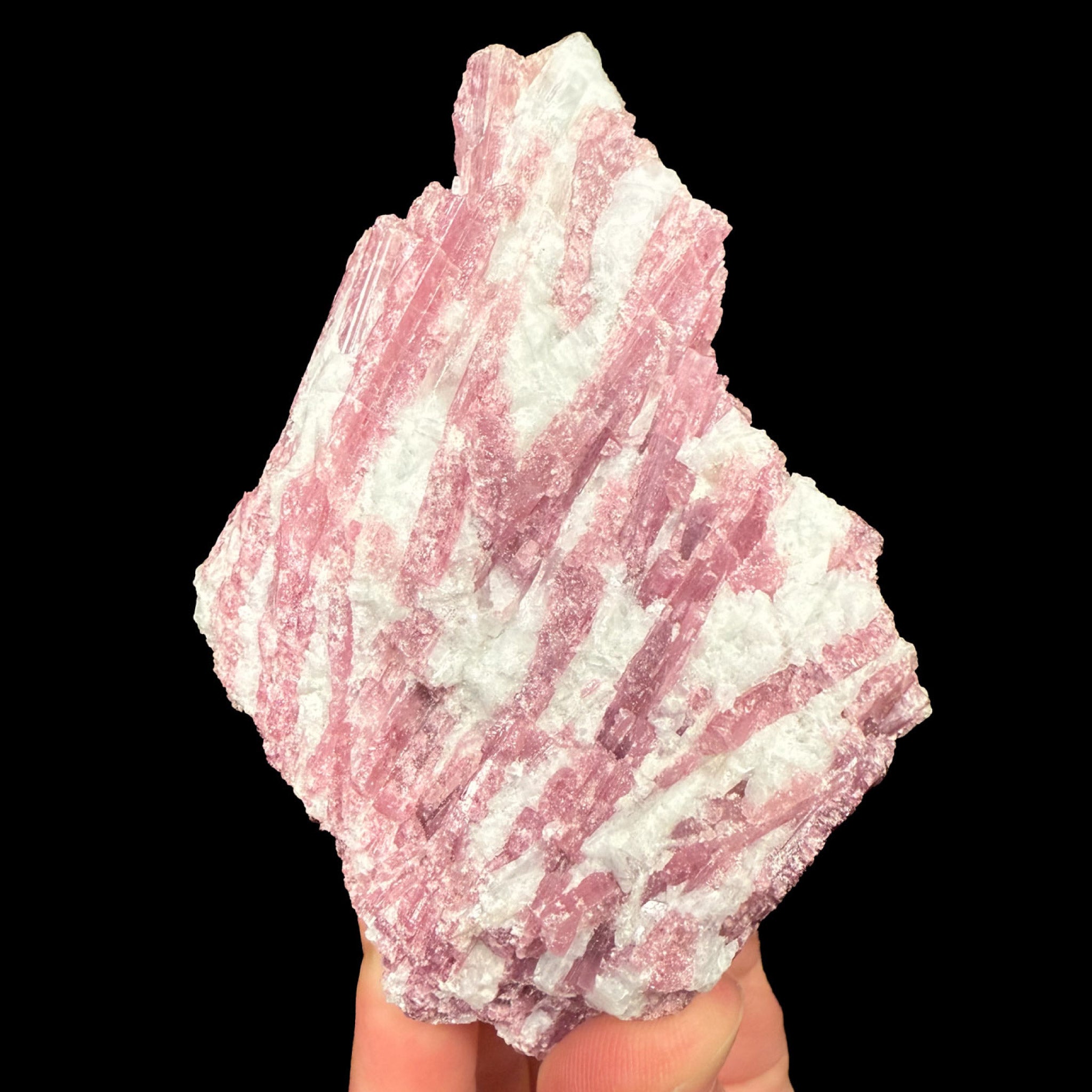Pink Tourmaline in Matrix Mineral Specimen