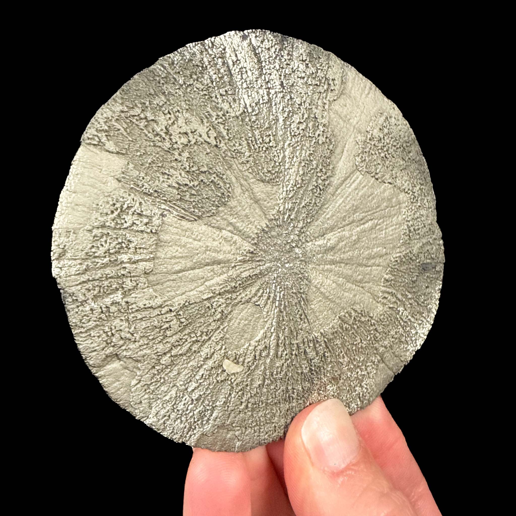 Pyrite crystal concretion - Illinois