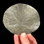 Pyrite concretion - Sparta, Illinois