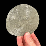 Pyrite mineral specimen Illinois