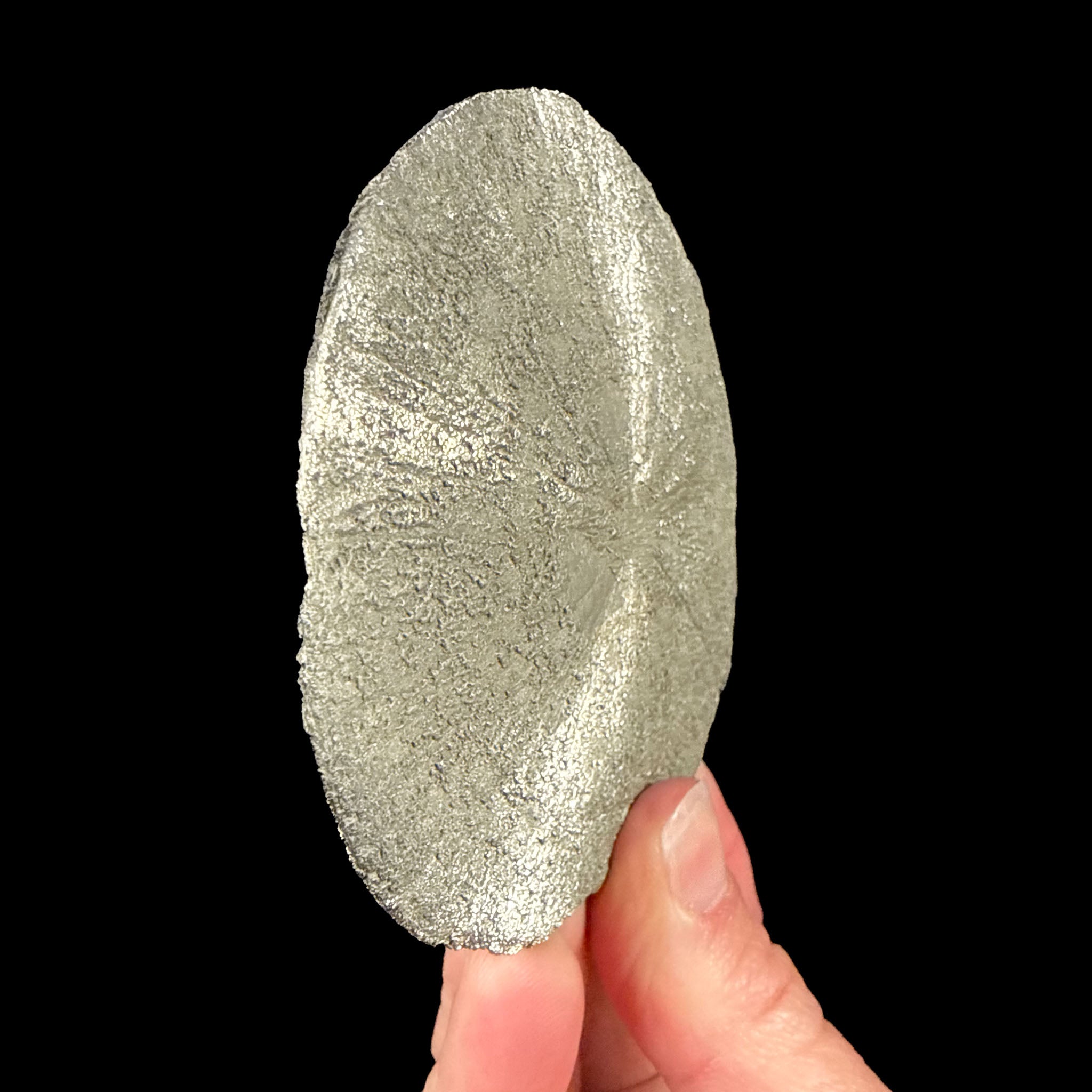 Compressed Pyrite concretion from Illinois