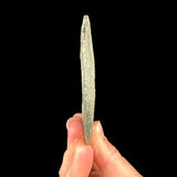 Side view of Pyrite Dollar