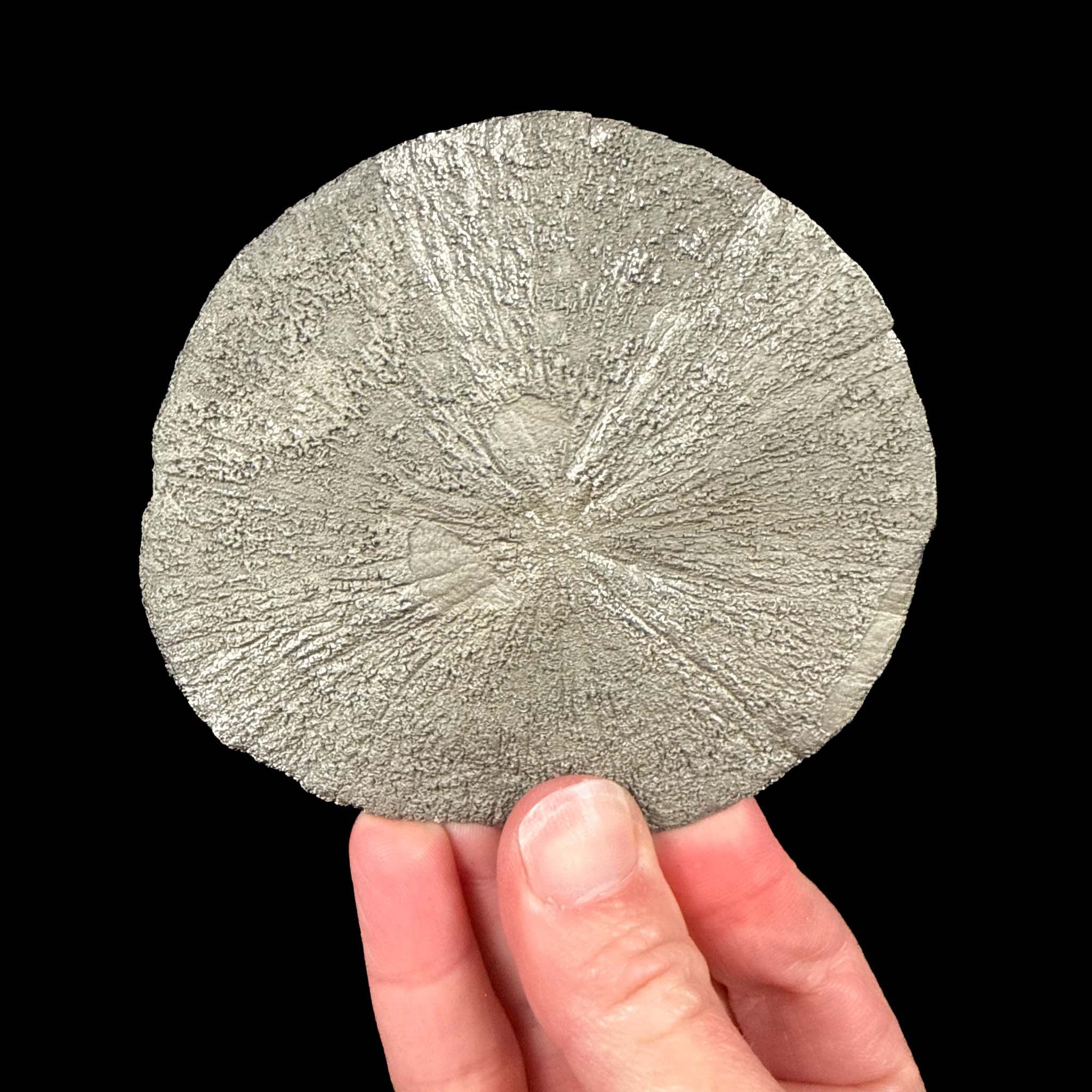 Pyrite mineral specimen - Sparta, IL