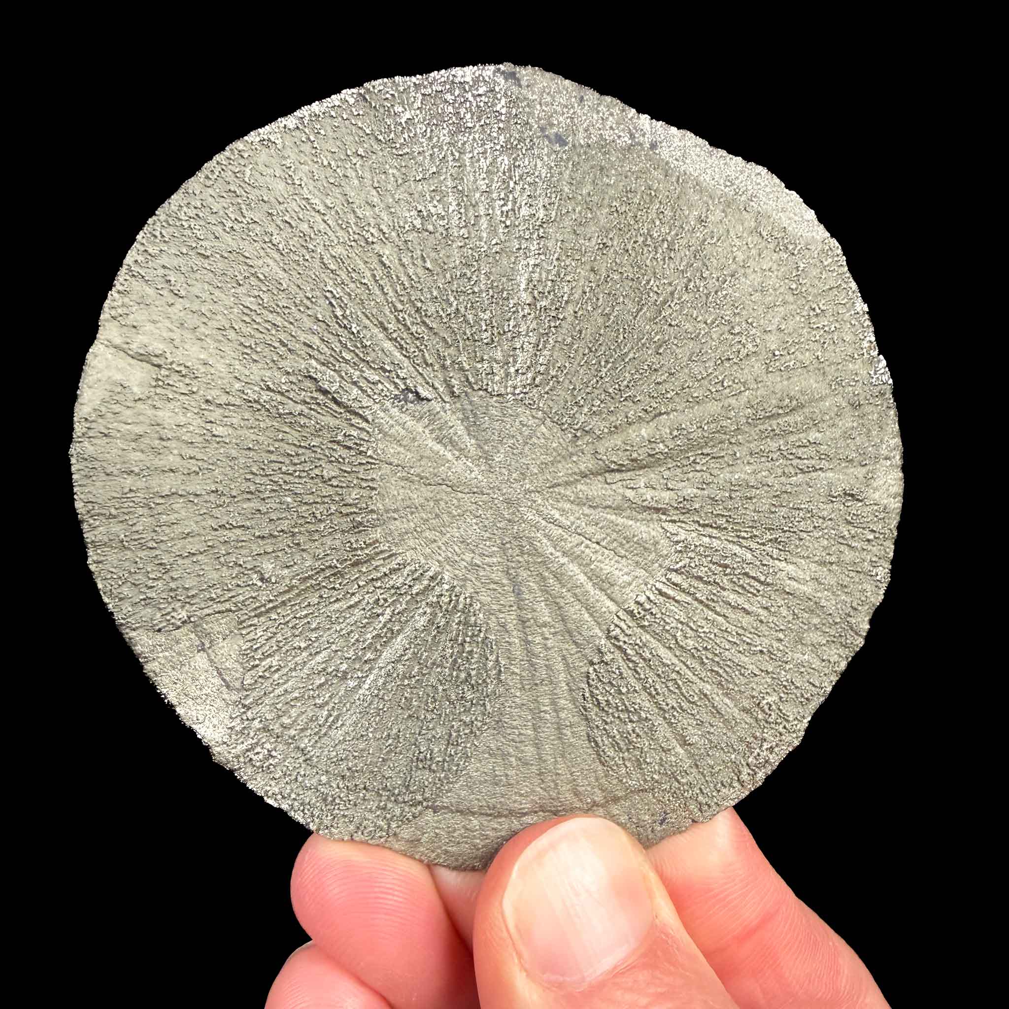 Pyrite Sun Sparta, Illinois