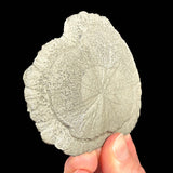 Pyrite Sparta, Illinois