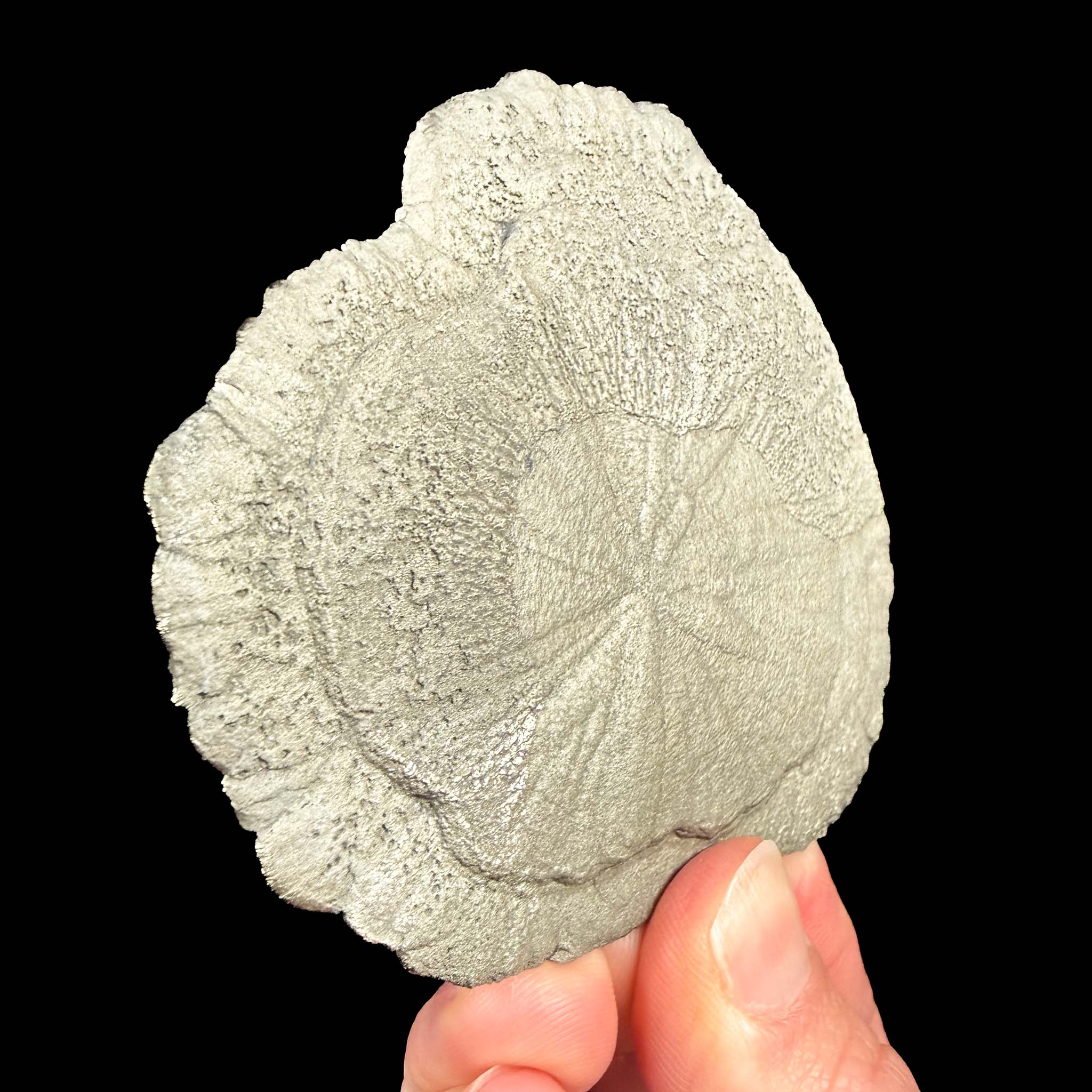 Pyrite Sparta, Illinois
