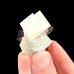 Pyrite cube in limestone marl matrix from Navajun, Spain