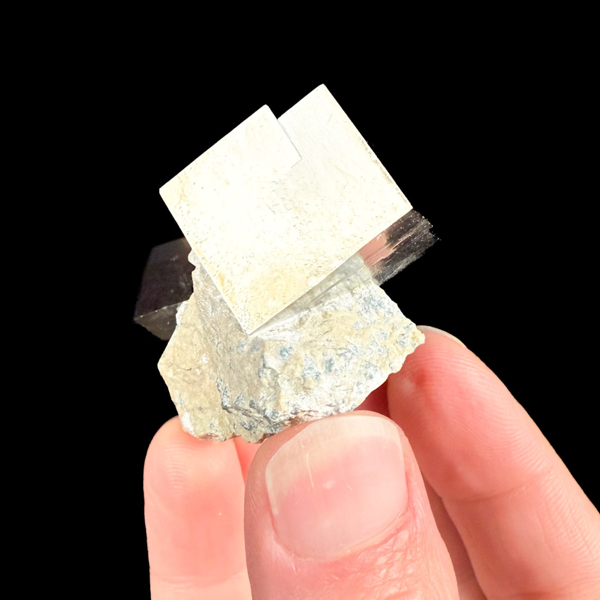 Pyrite cube in limestone marl matrix from Navajun, Spain