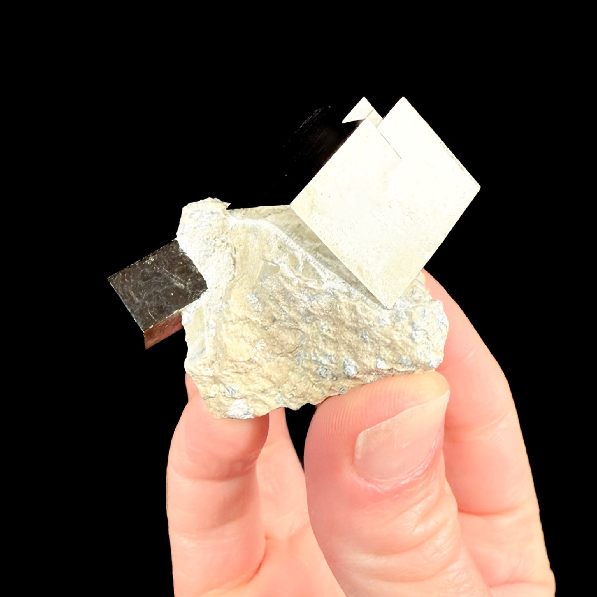 Pyrite cubes in limestone marl host rock