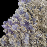 Purple Amethyst crystals coated by brass colored Pyrite crystals