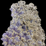 Pyrite crystals coating purple Amethyst crystals