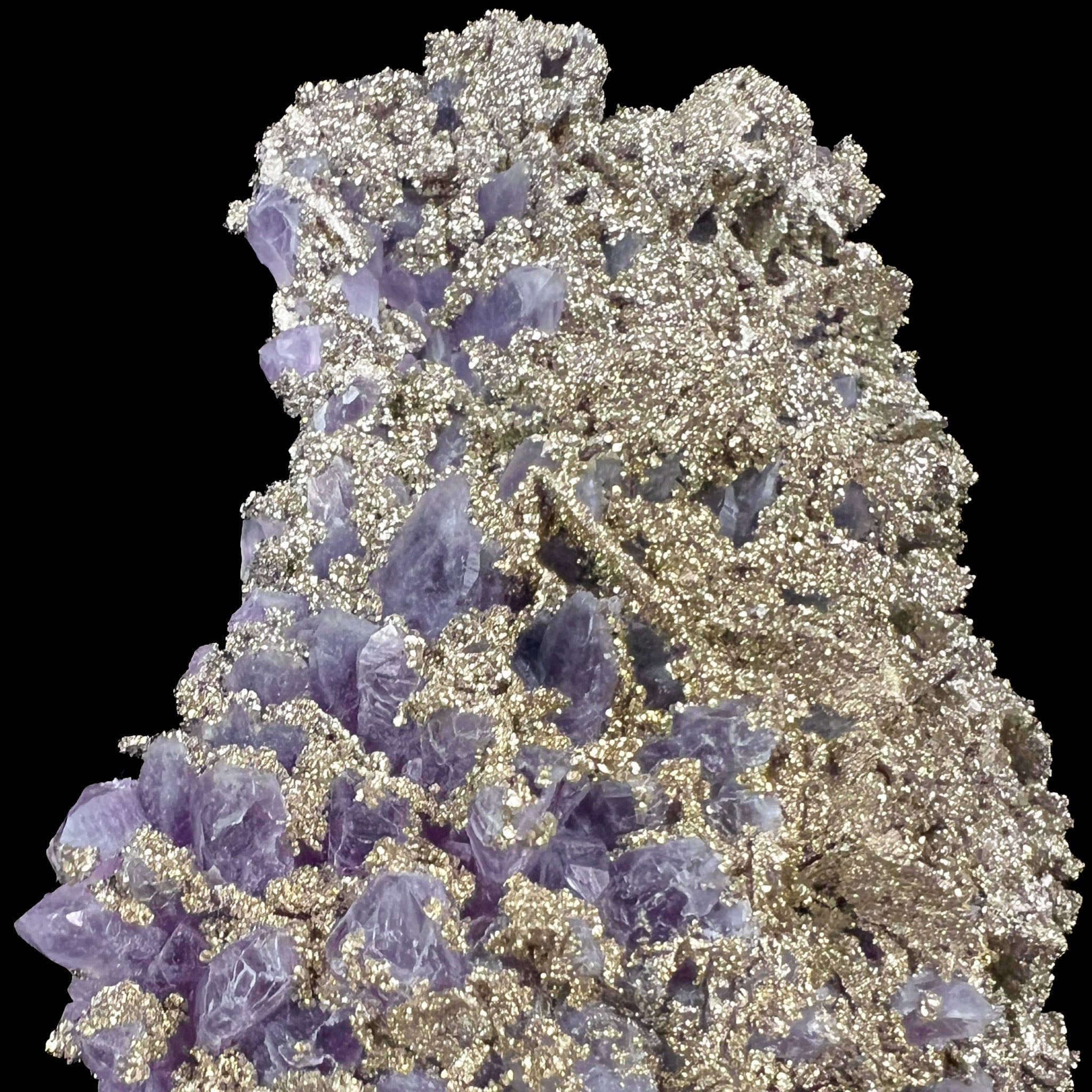 Pyrite crystals coating purple Amethyst crystals