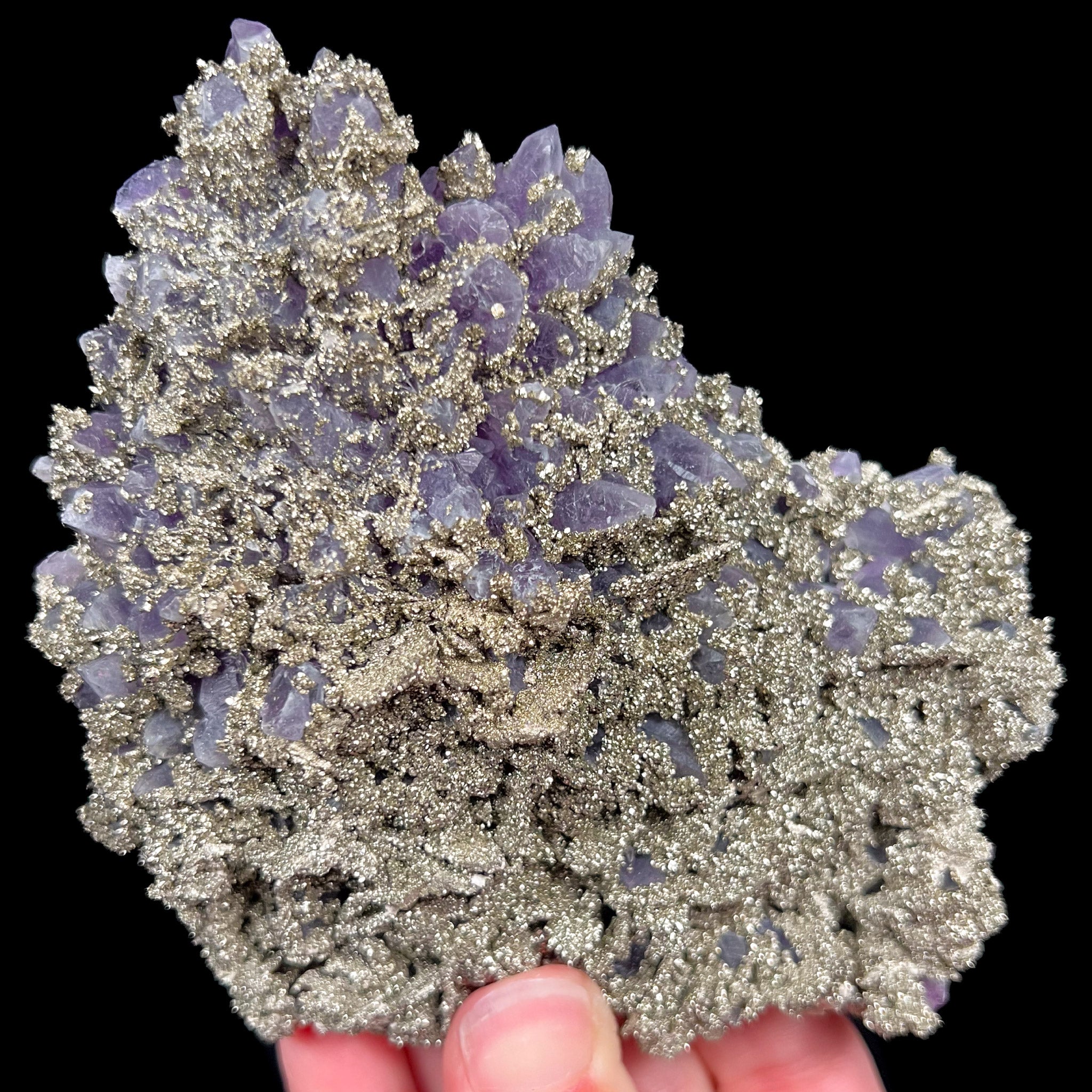 Pyrite with Amethyst from Chala Mine, Bulgaria