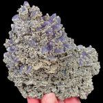 Large Pyrite on Amethyst from Chala Mine, Bulgaria