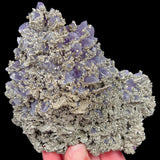 Large Pyrite on Amethyst from Chala Mine, Bulgaria