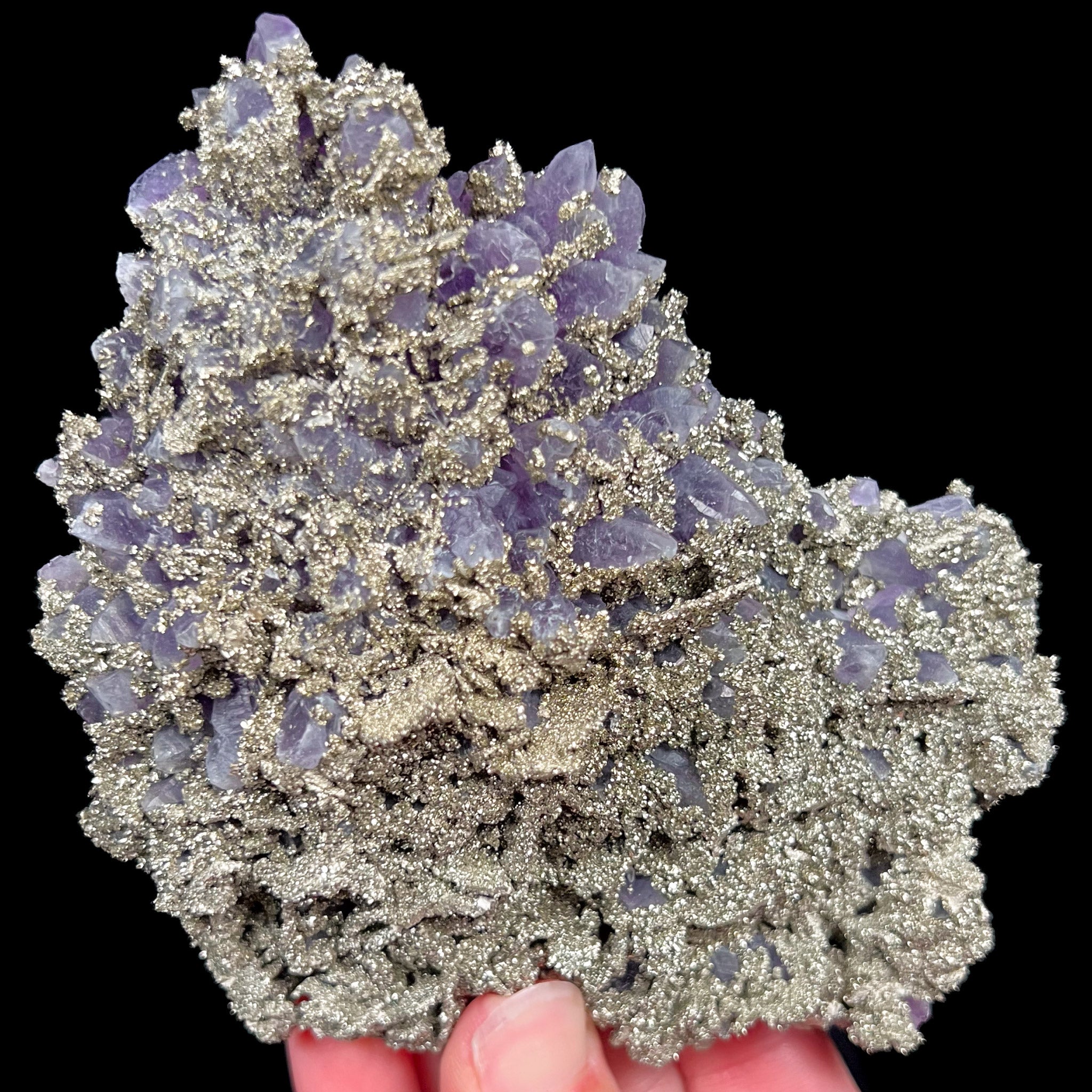 Large Pyrite on Amethyst from Chala Mine, Bulgaria