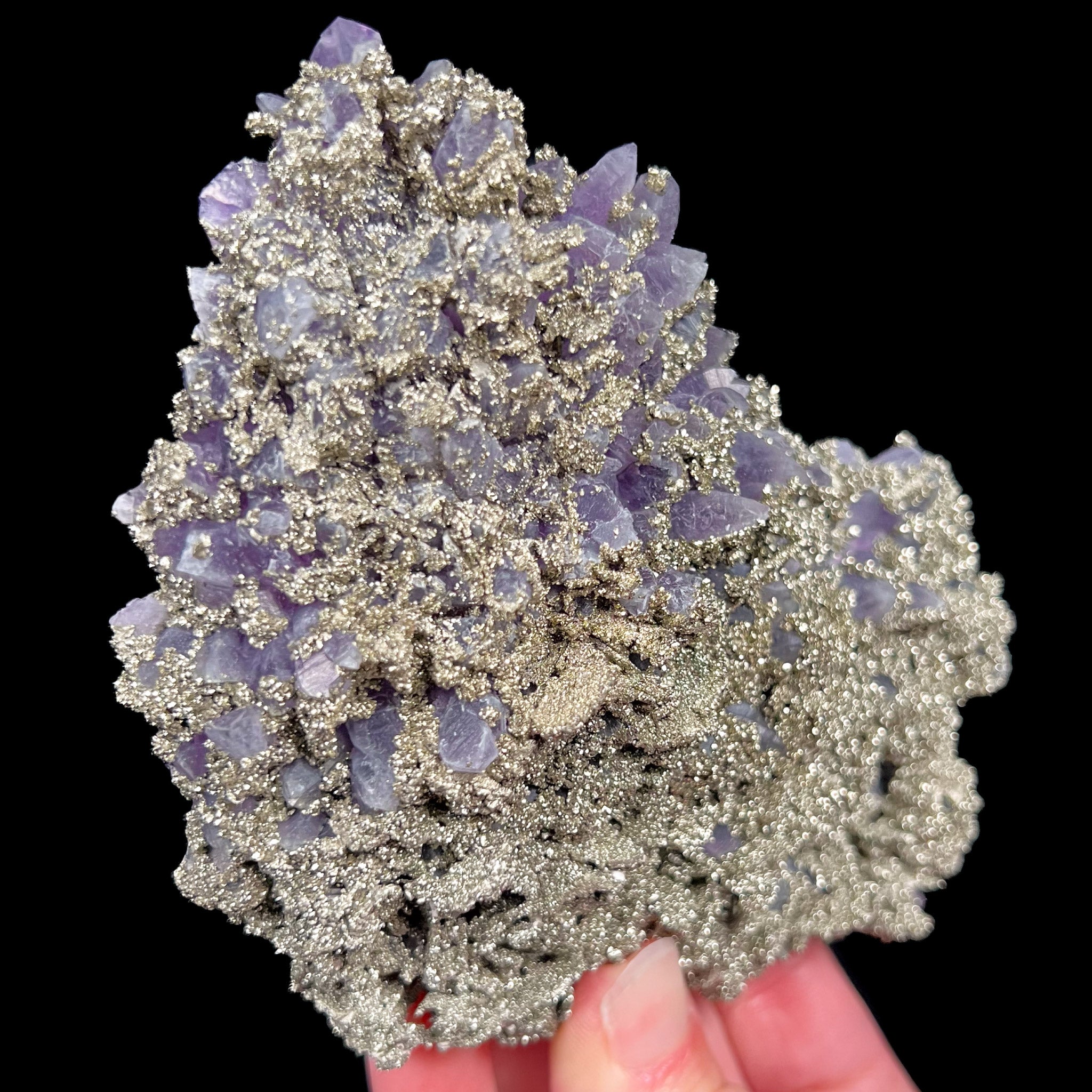 Large specimen of Amethyst crystals naturally coated by Pyrite crystals