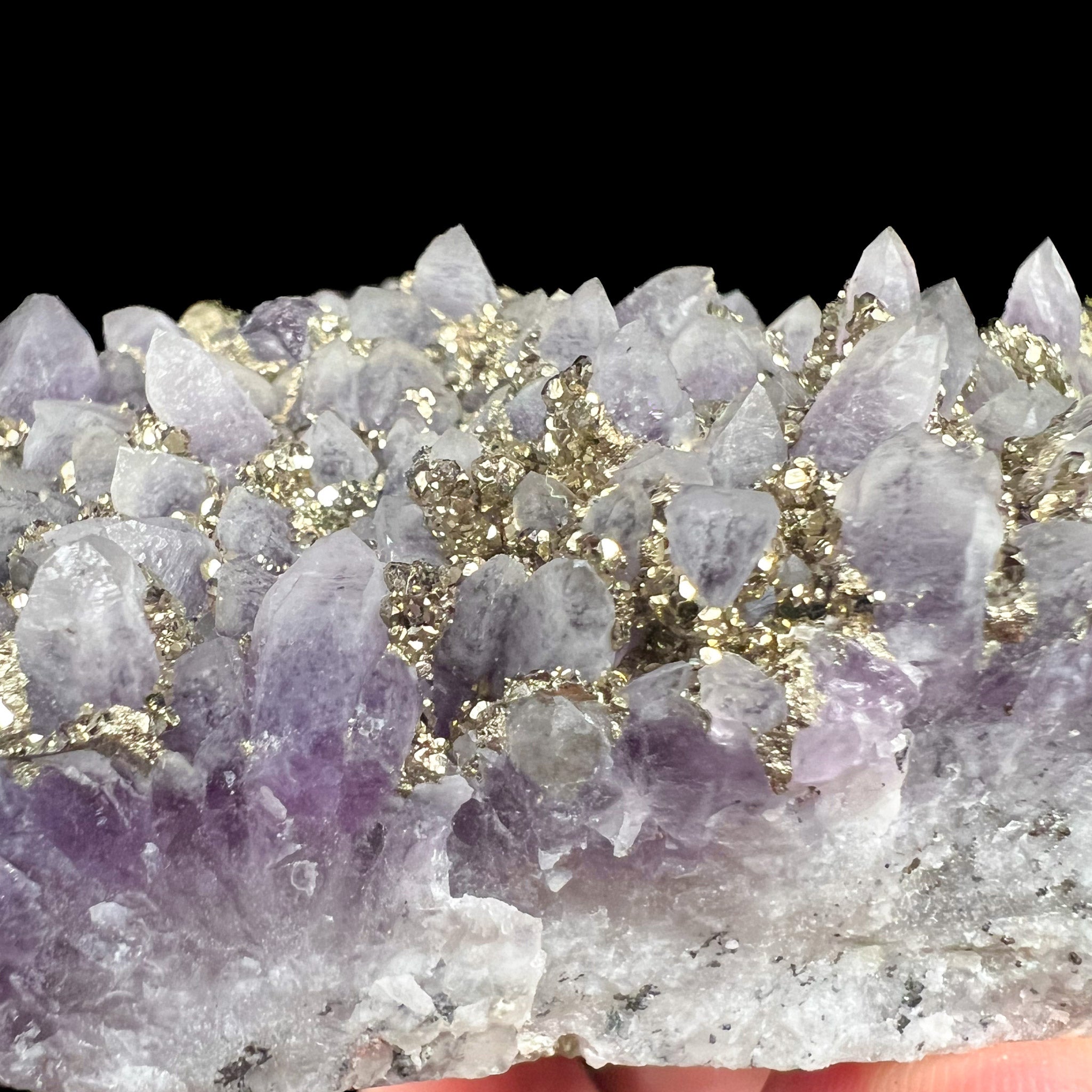 Golden Pyrite Crystals with Purple Amethyst Crystals
